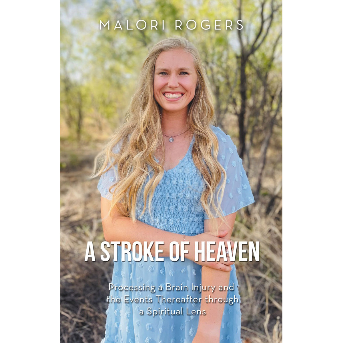 A Stroke Of Heaven (Paperback)