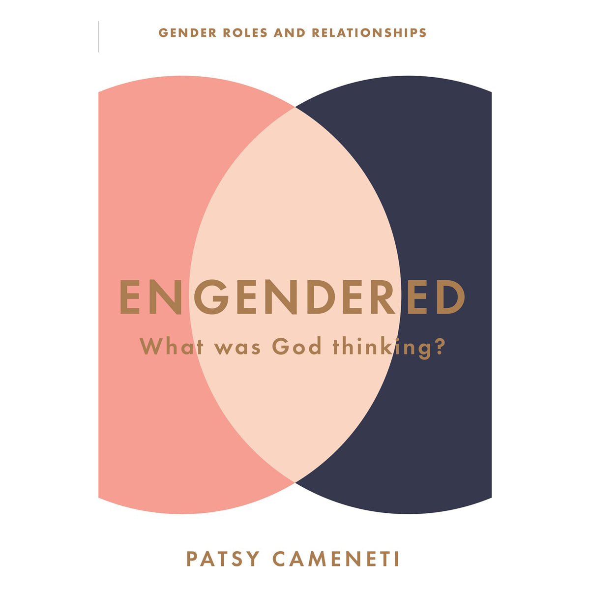 Engendered Gender Roles And Relationships (Paperback)