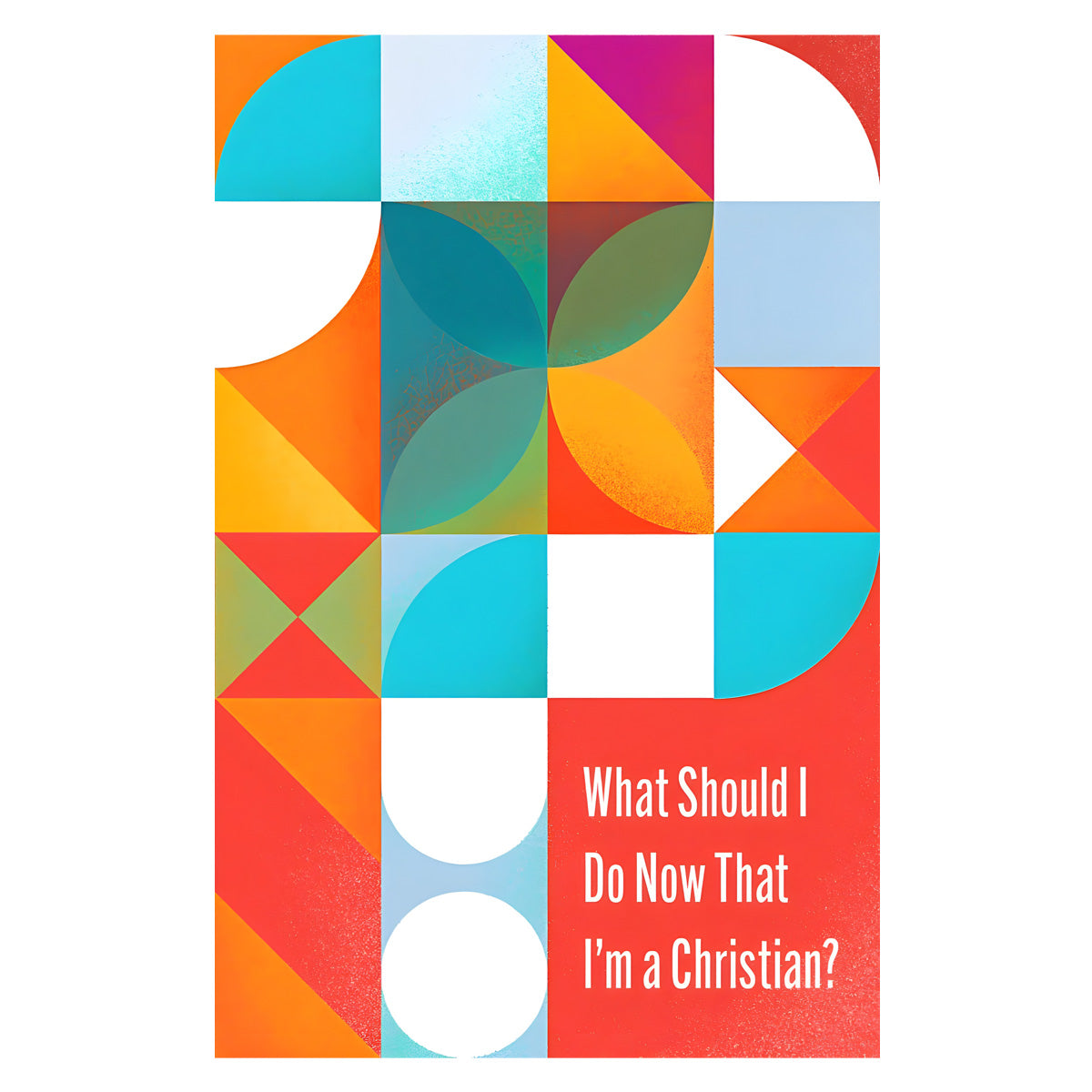 What Should I Do Now That I'm a Christian? 10-Pack (Pamphlet)