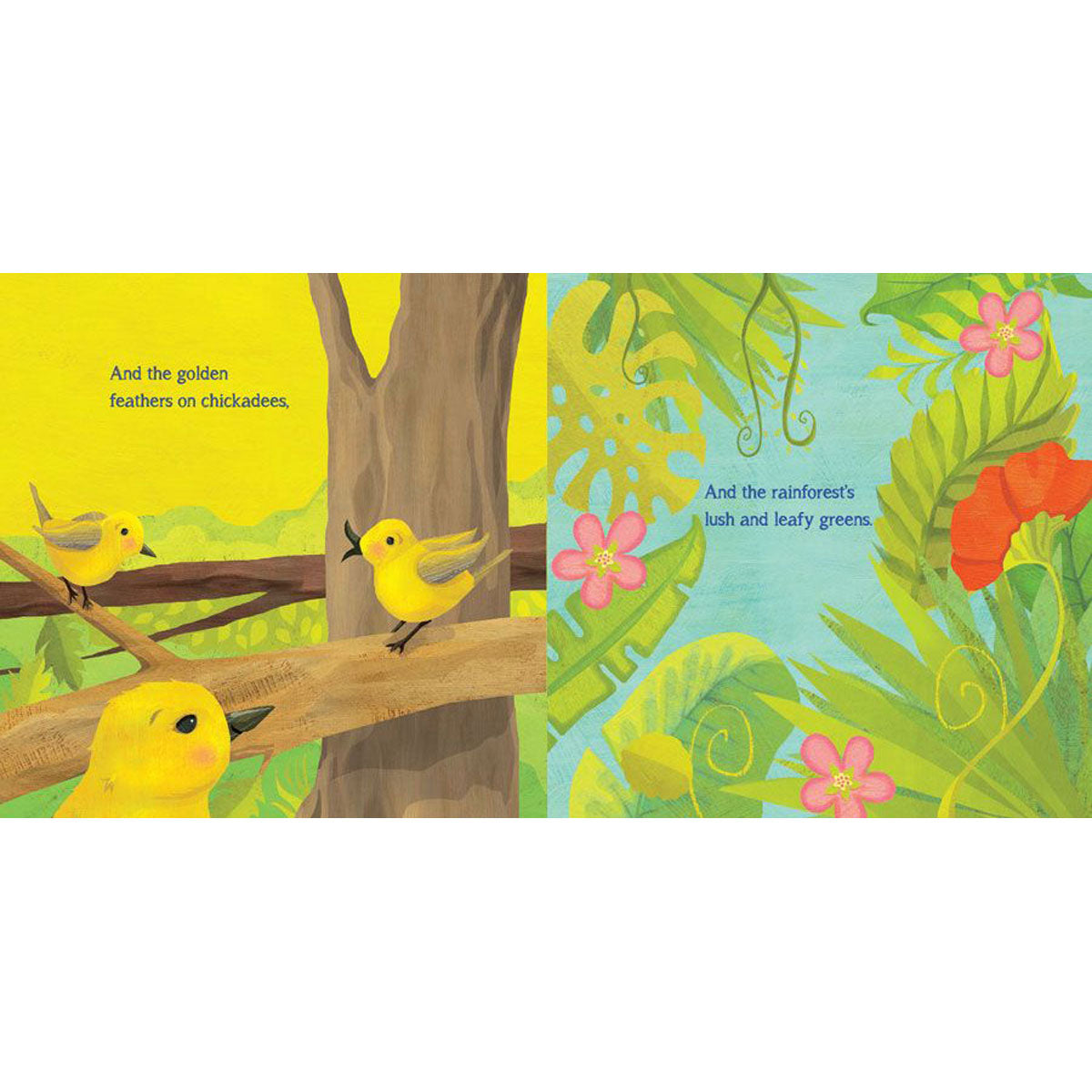 When You See A Rainbow (Board Book)
