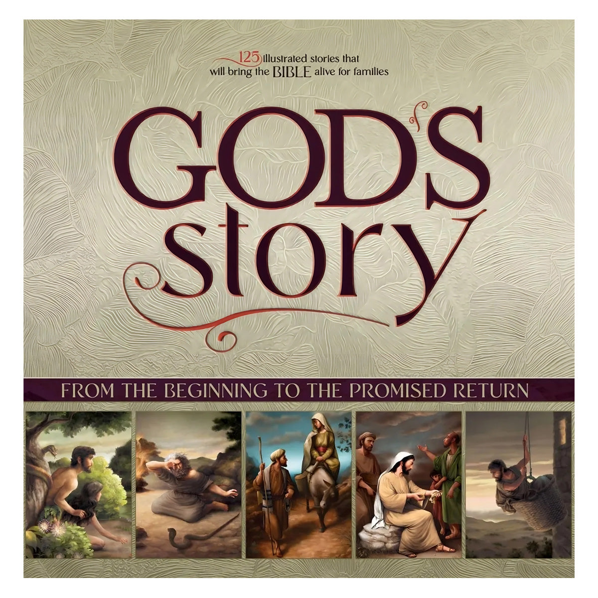 God's Story: From the Beginning to the Promised Return (Paperback)