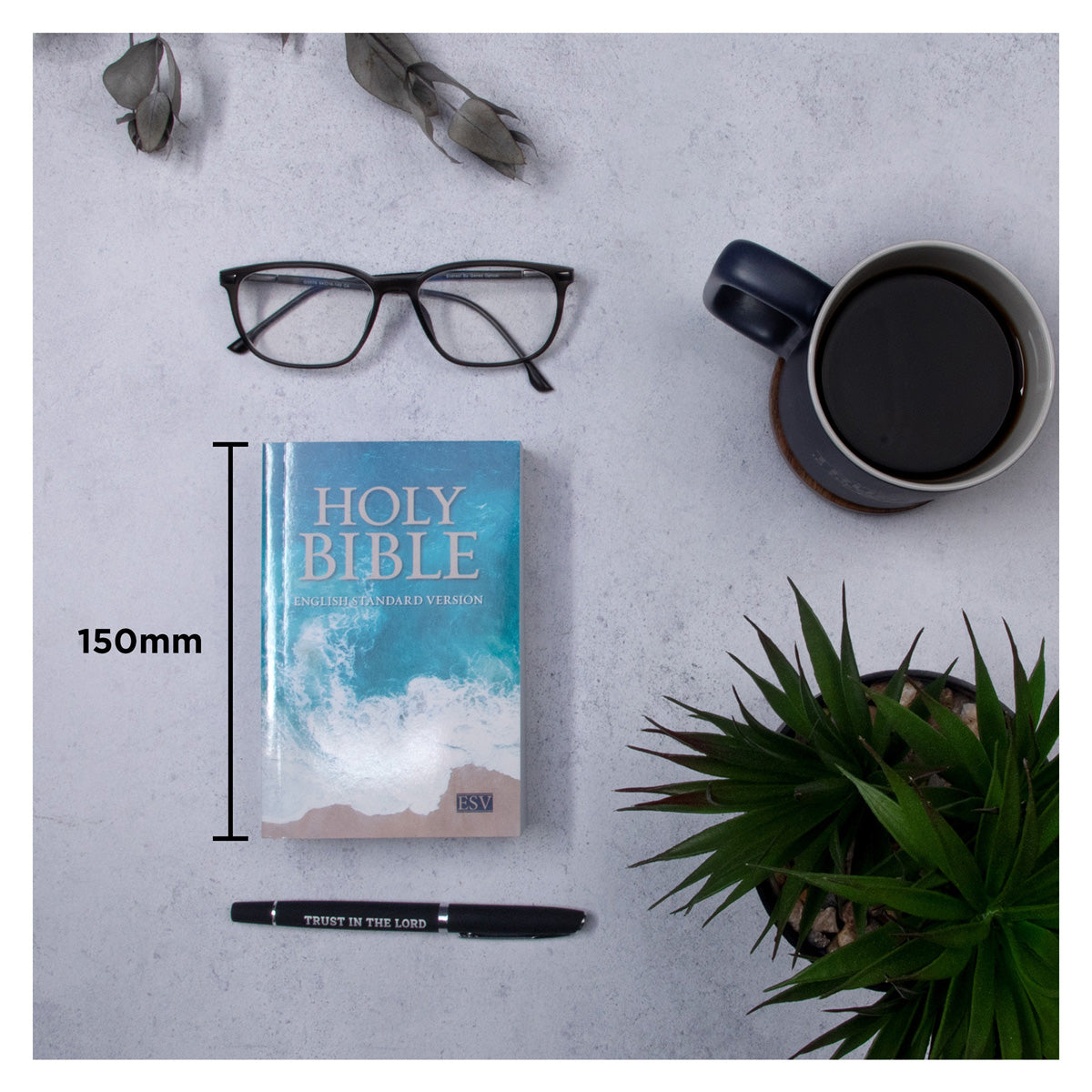 ESV Turquoise Compact Bible Paperback