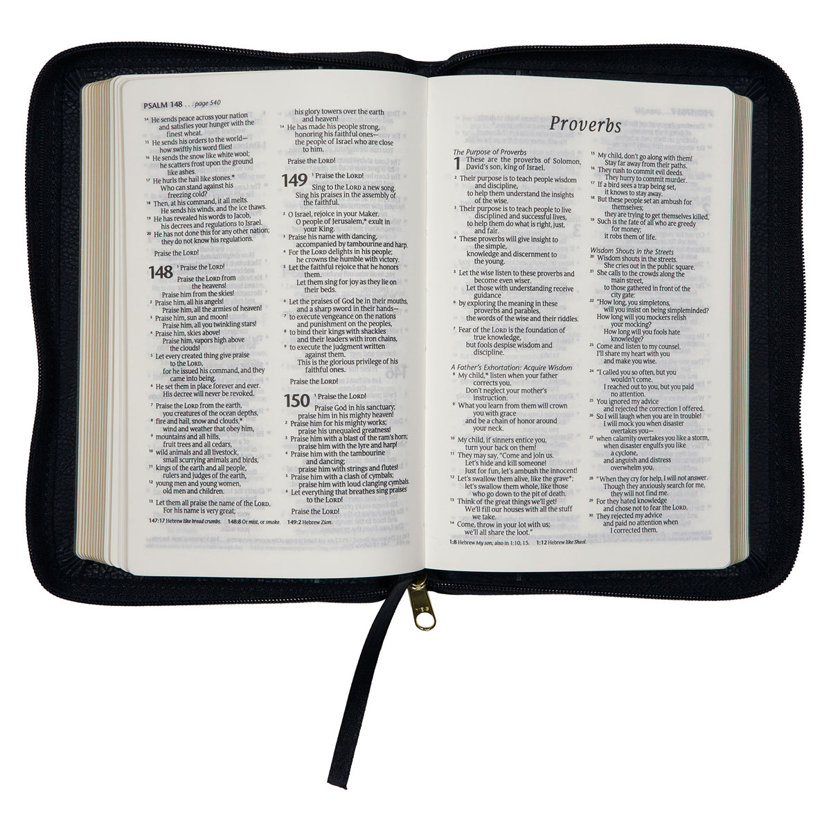 NLT Black Faux Leather Flexcover Compact Bible With Zip