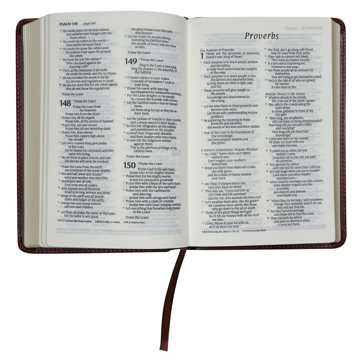 NLT Brown Faux Leather Flexcover Compact Bible