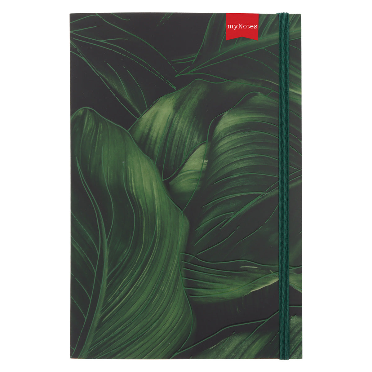 MyNotes Leaves A5 (Paperback)