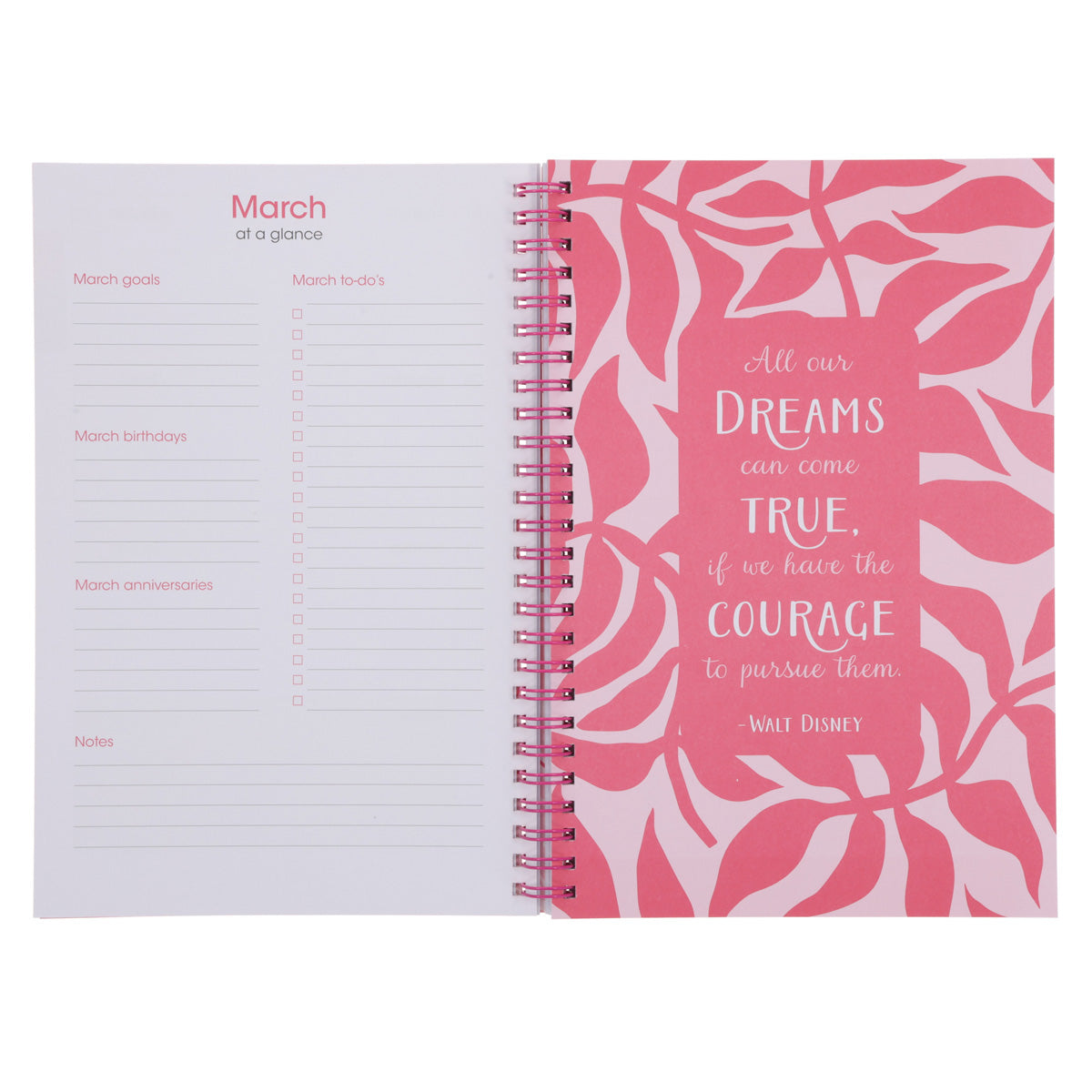 2026 Diary - Daily Planner - Inspirational - Make Today Amazing - Wirebound
