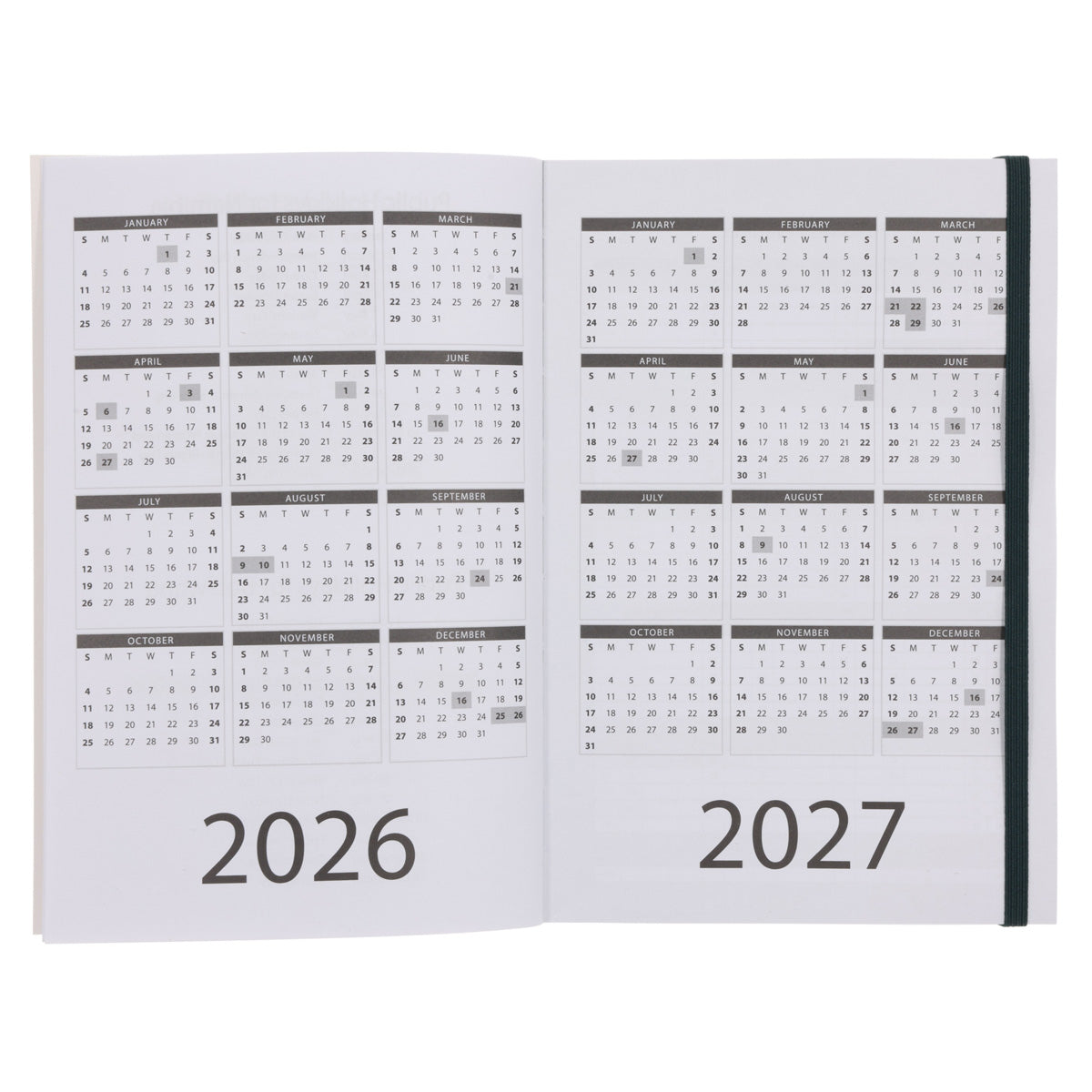 2026 A5 Diary - Daily Planner - Lion - Paperback