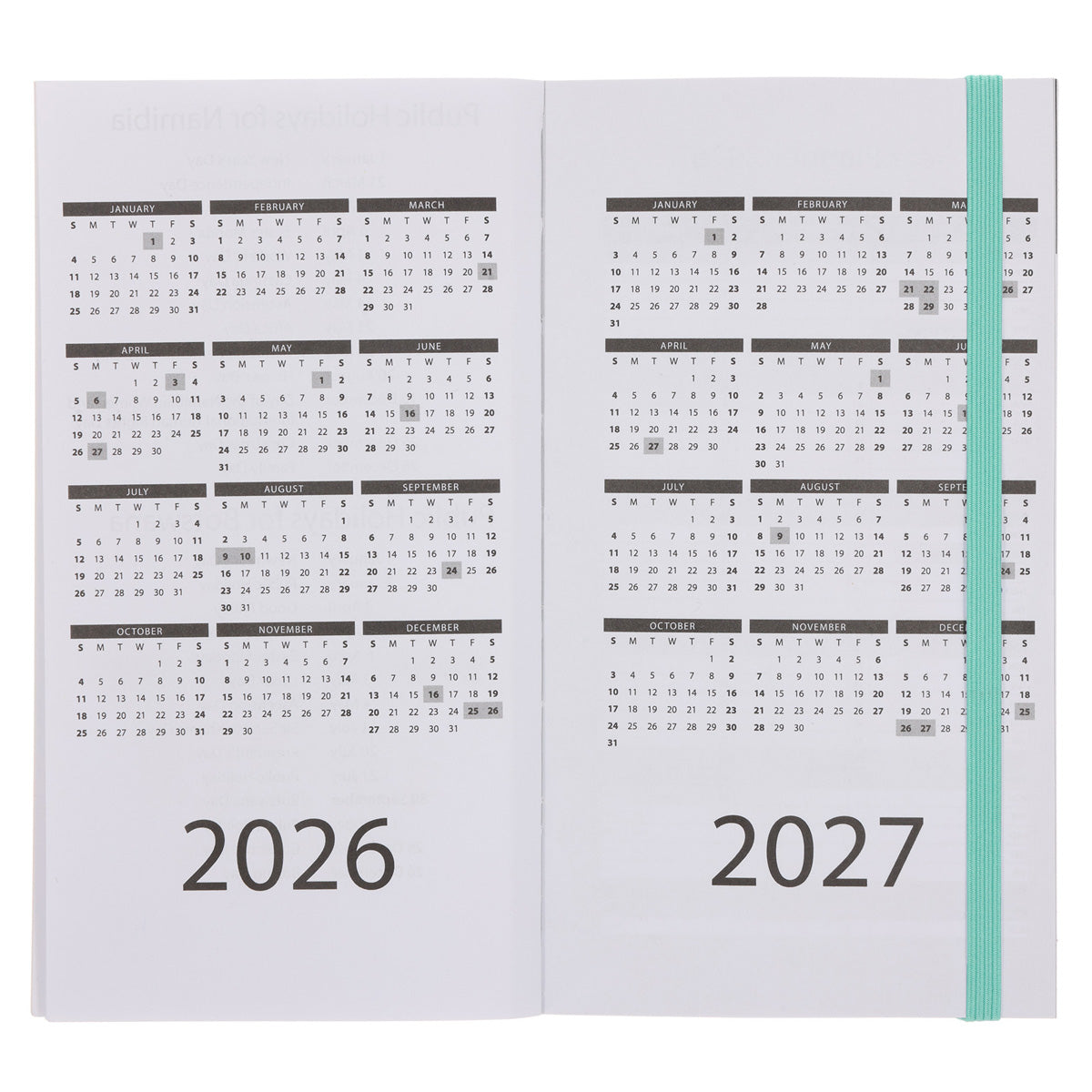 2026 Pocket Diary - Daily Planner - Black and Green - Paperback