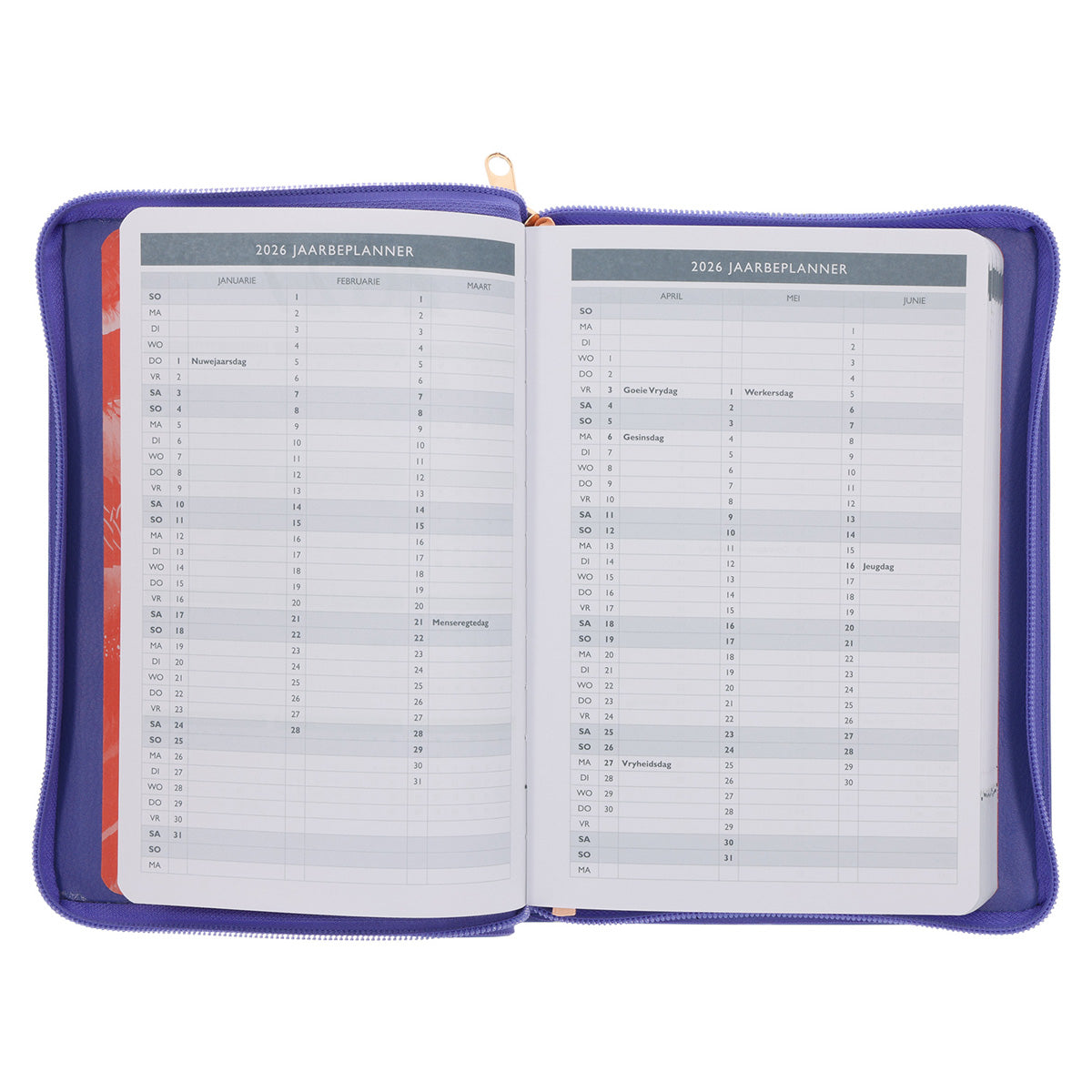 2026 Joyce Meyer A5 Dagboek - Dagbeplanner - Kunsleer met Rits