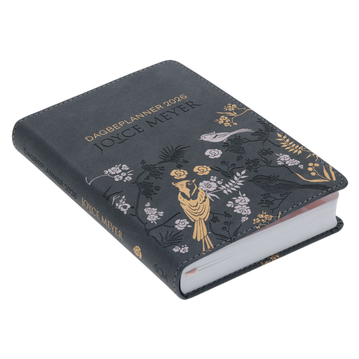 2026 Joyce Meyer Dagboek - Dagbeplanner - Kunsleer