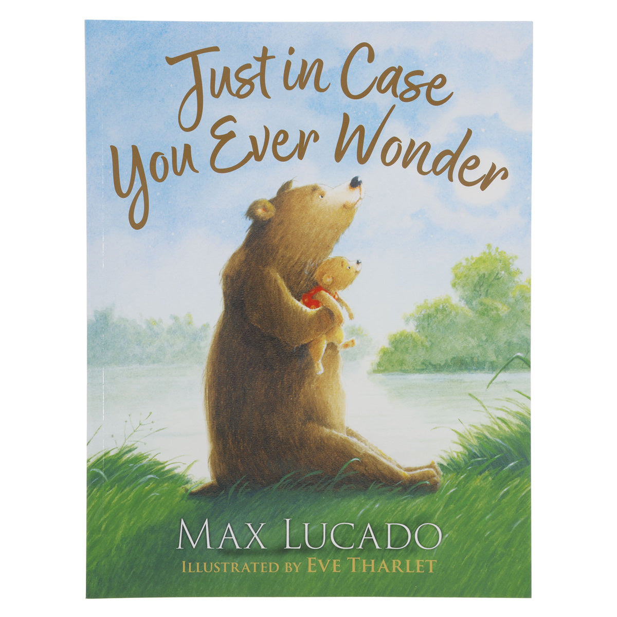Just in Case You Ever Wonder (Paperback)