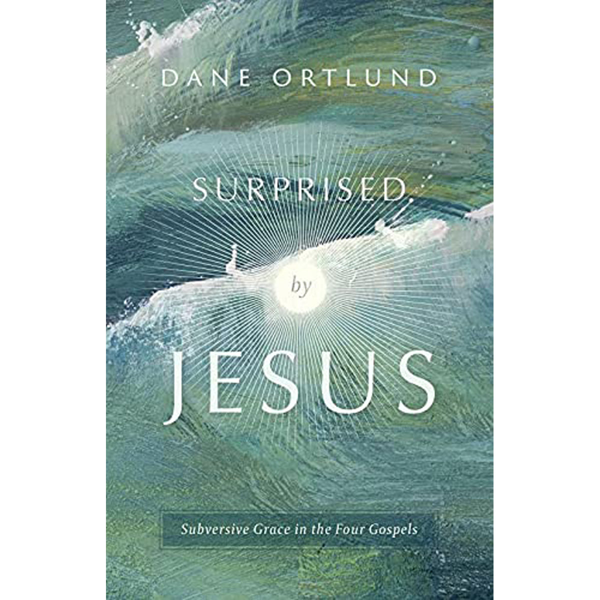 Surprised By Jesus: Subversive Grace In The Four Gospels (Paperback)