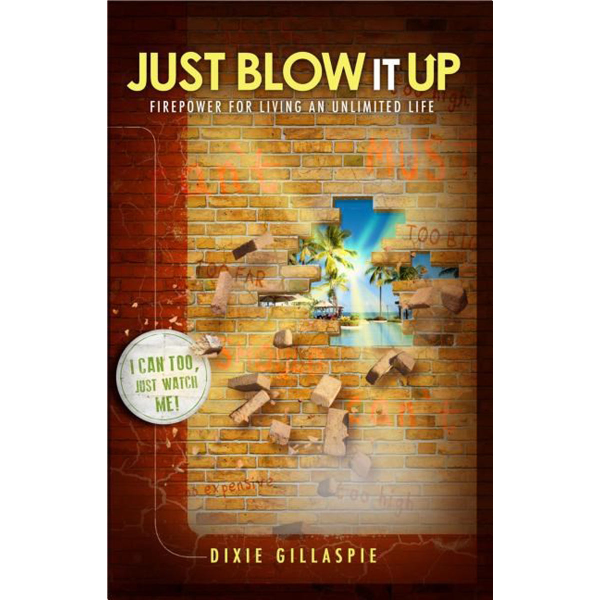 Just Blow It Up: Firepower For Living An Unlimited Life (Paperback)