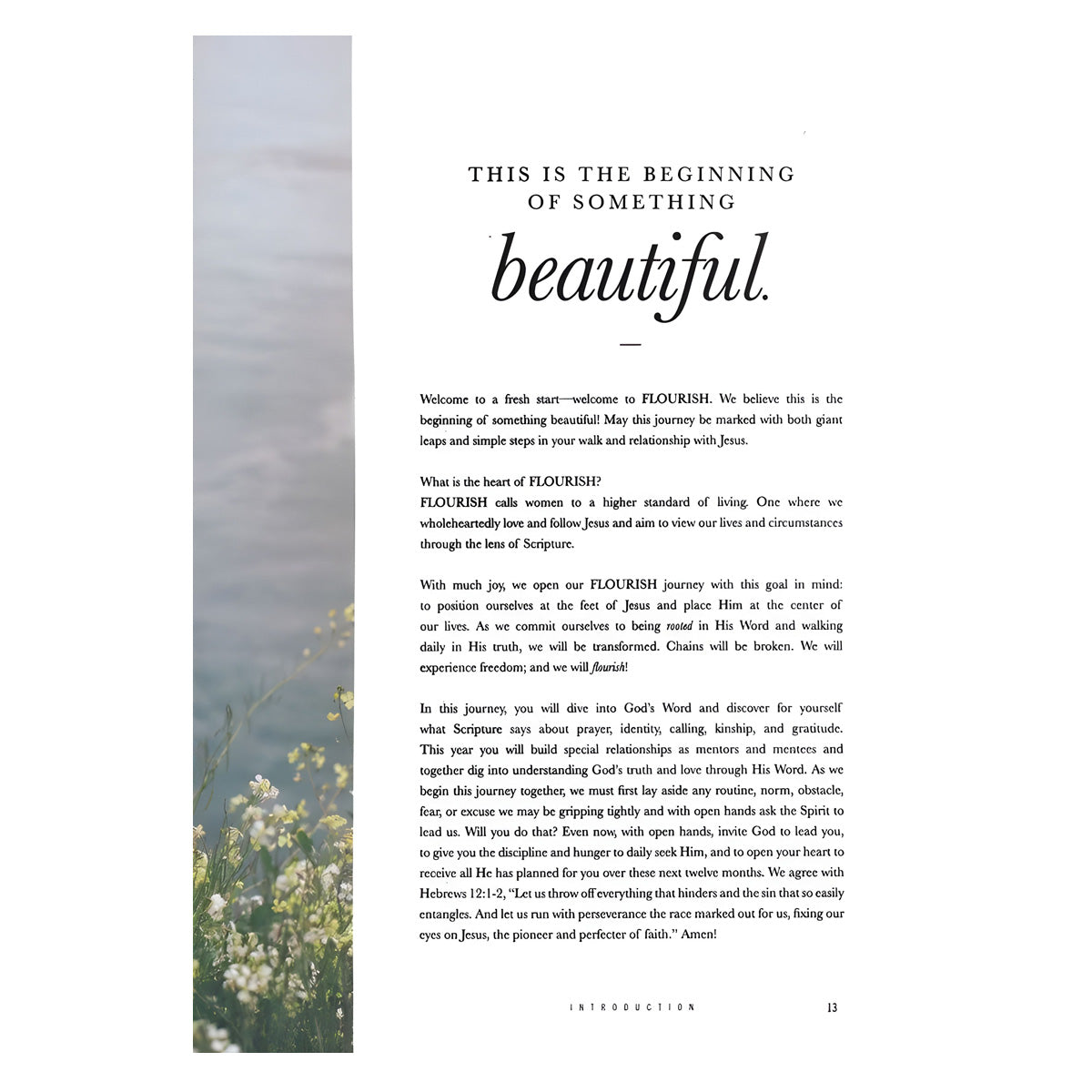 Flourish: A Mentoring Journey - Year One (Spiral-Bound)