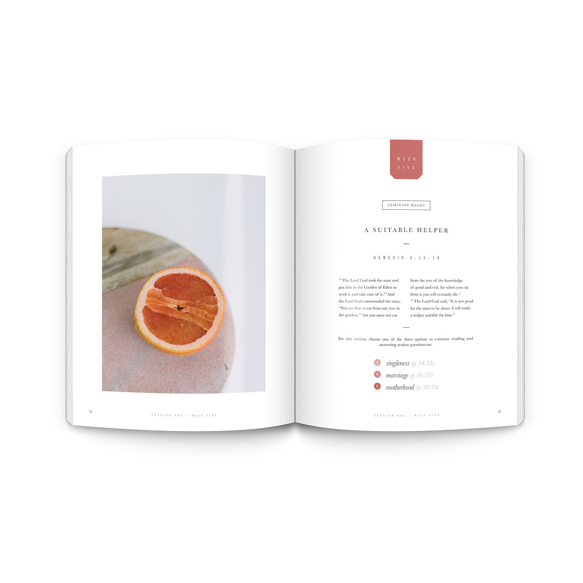 Flourish: A Mentoring Journey - Year Two (Spiral-Bound)