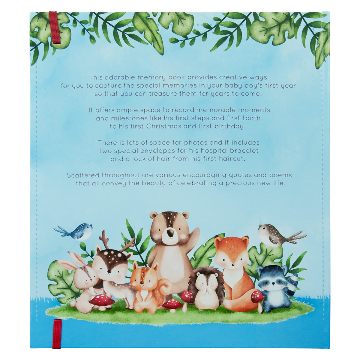 My First Year: A Memory Book For Baby Boys (Hardcover)