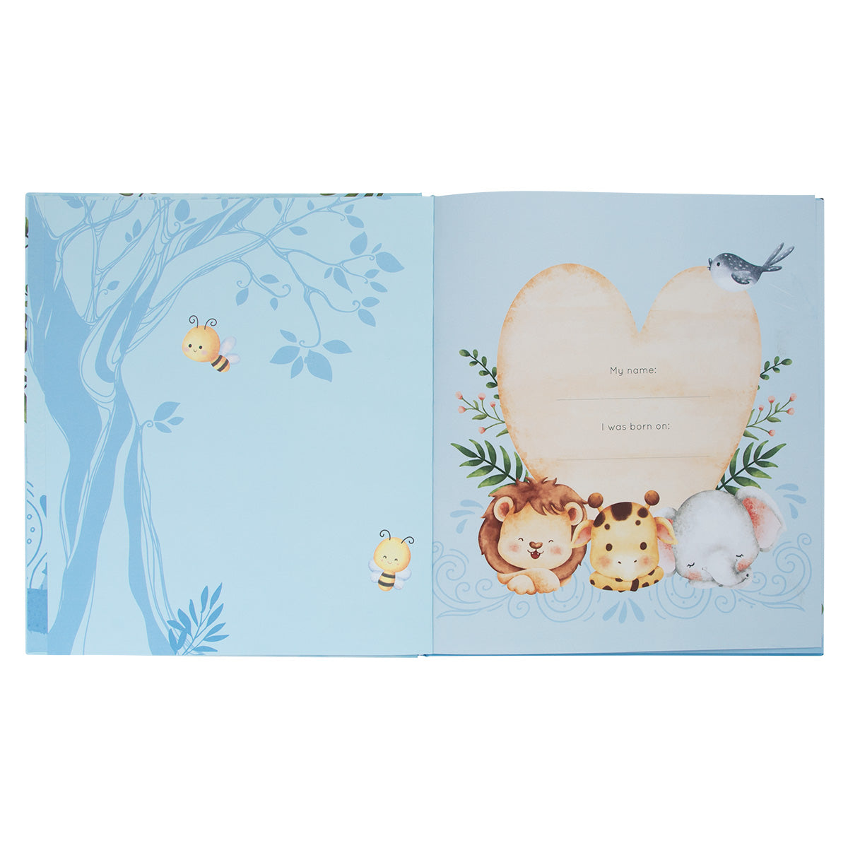 My First Year: A Memory Book For Baby Boys (Hardcover)