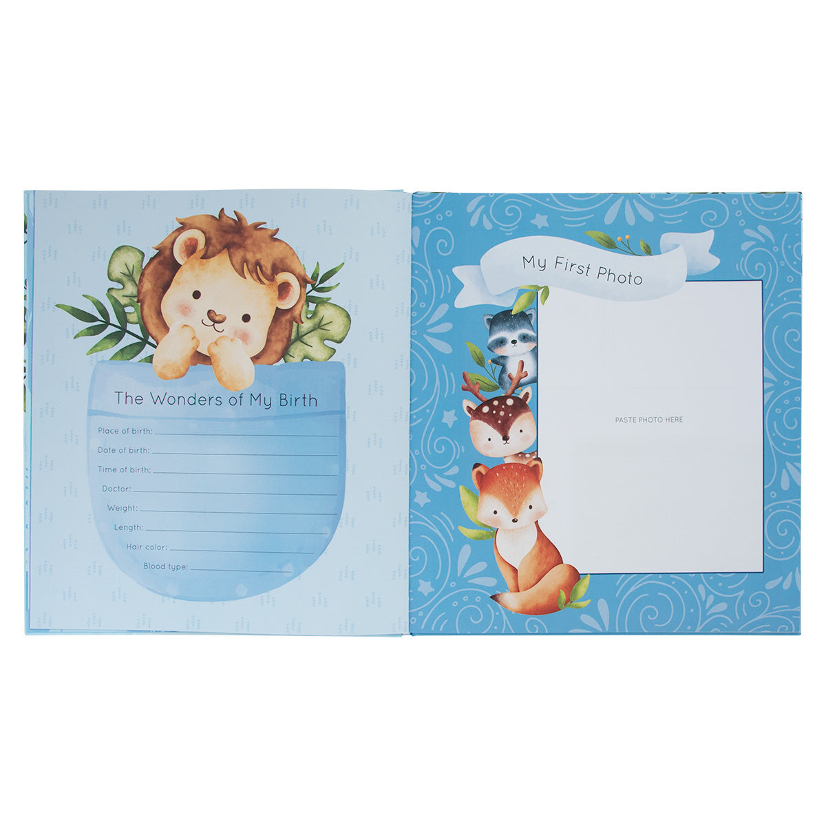 My First Year: A Memory Book For Baby Boys (Hardcover)