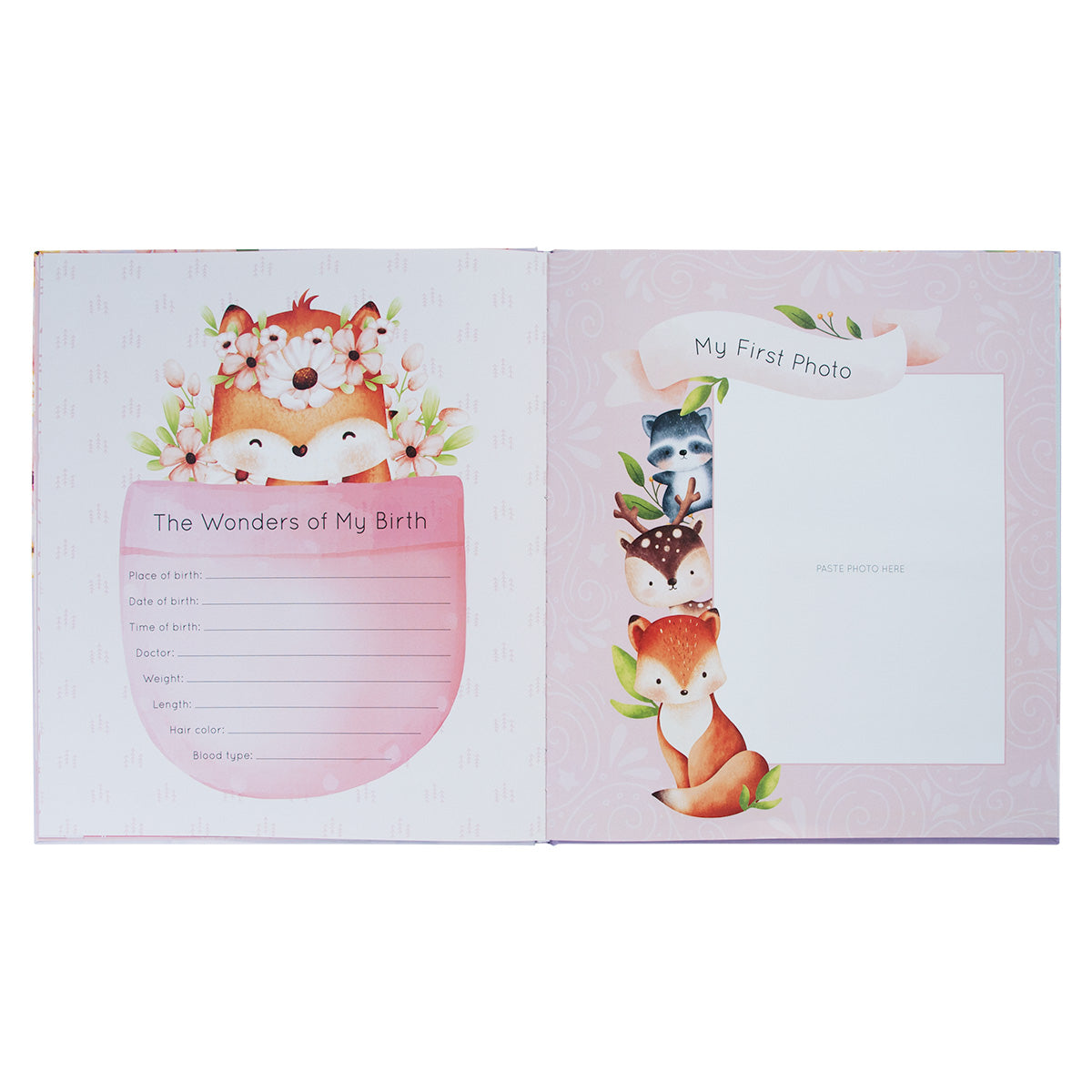 My First Year: A Memory Book For Baby Girls (Hardcover)