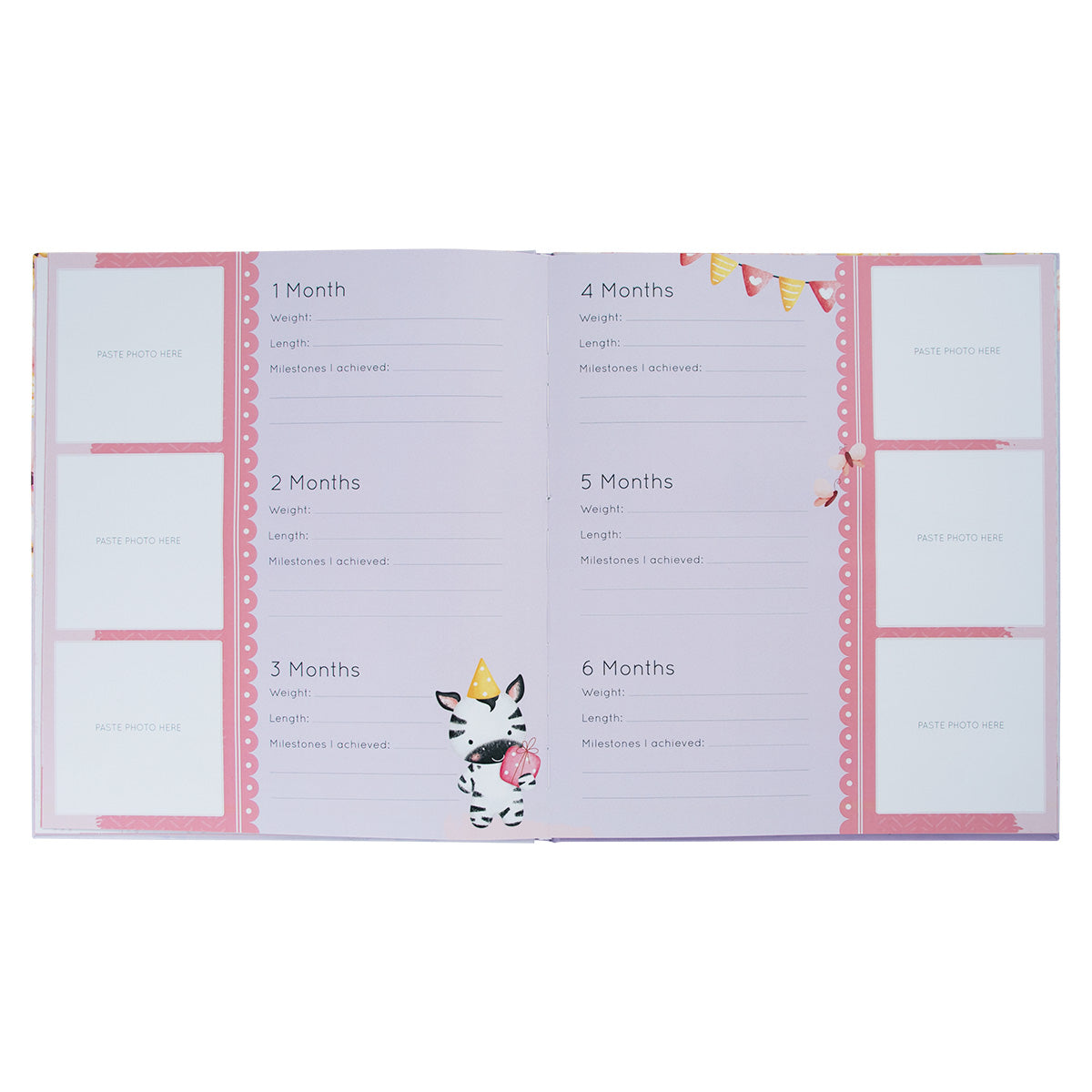 My First Year: A Memory Book For Baby Girls (Hardcover)