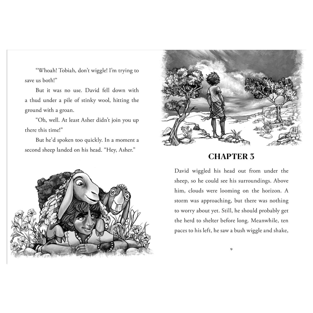 Shepherd - 2 Young David (Paperback)