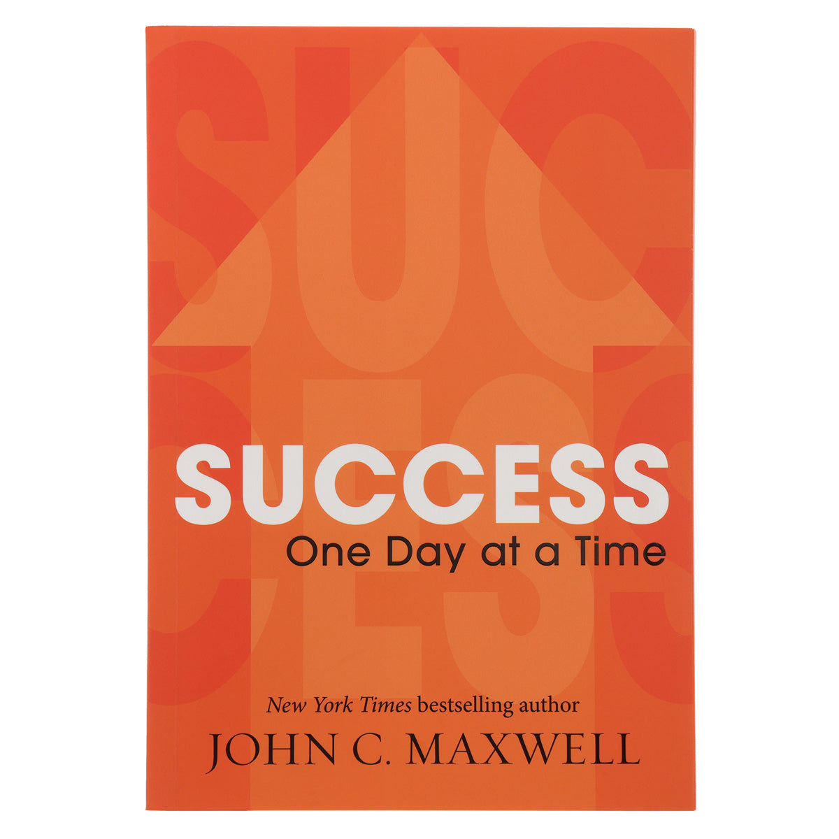 Success One Day at a Time (Paperback)