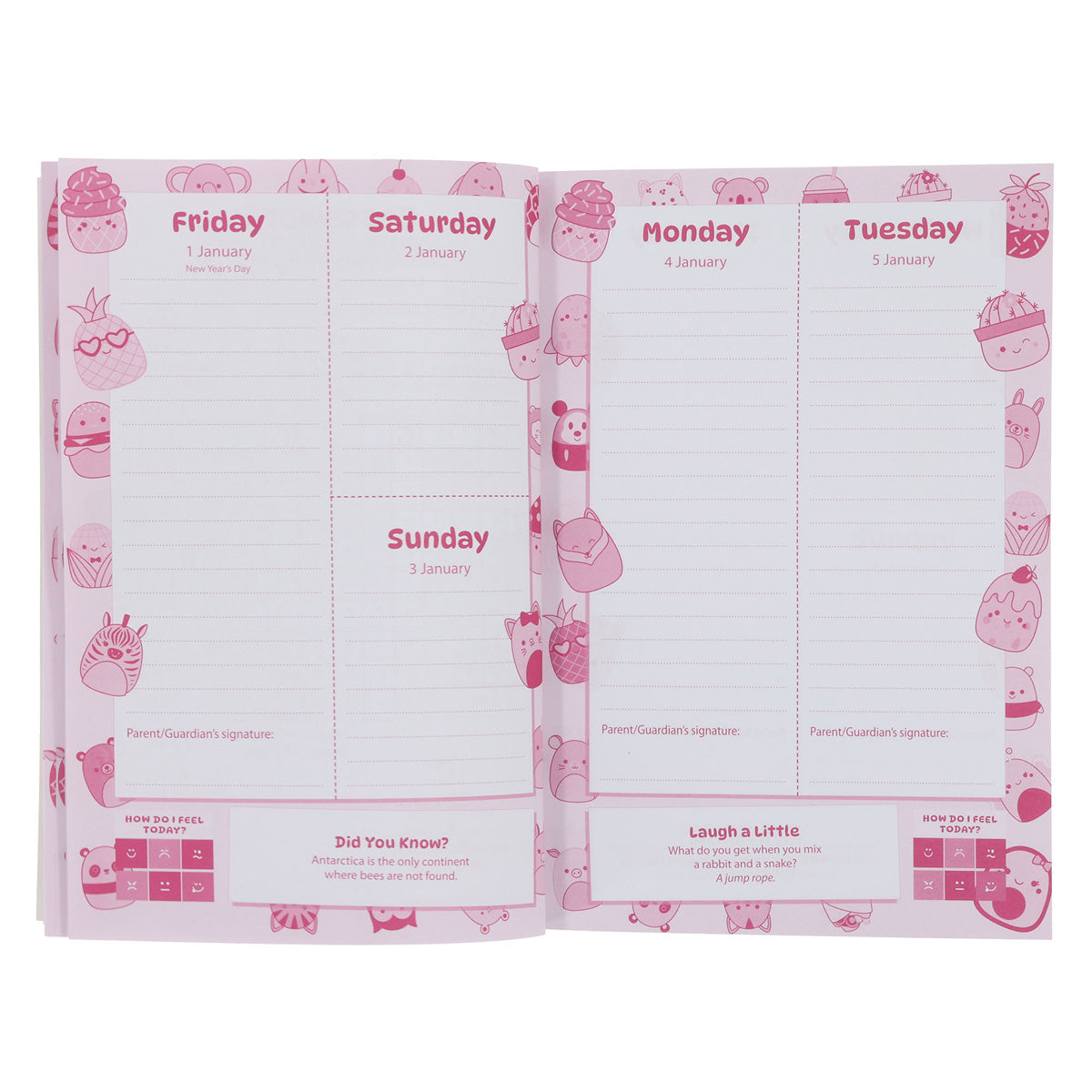 2027 School Diary - Daily Planner for Girls - Paperback