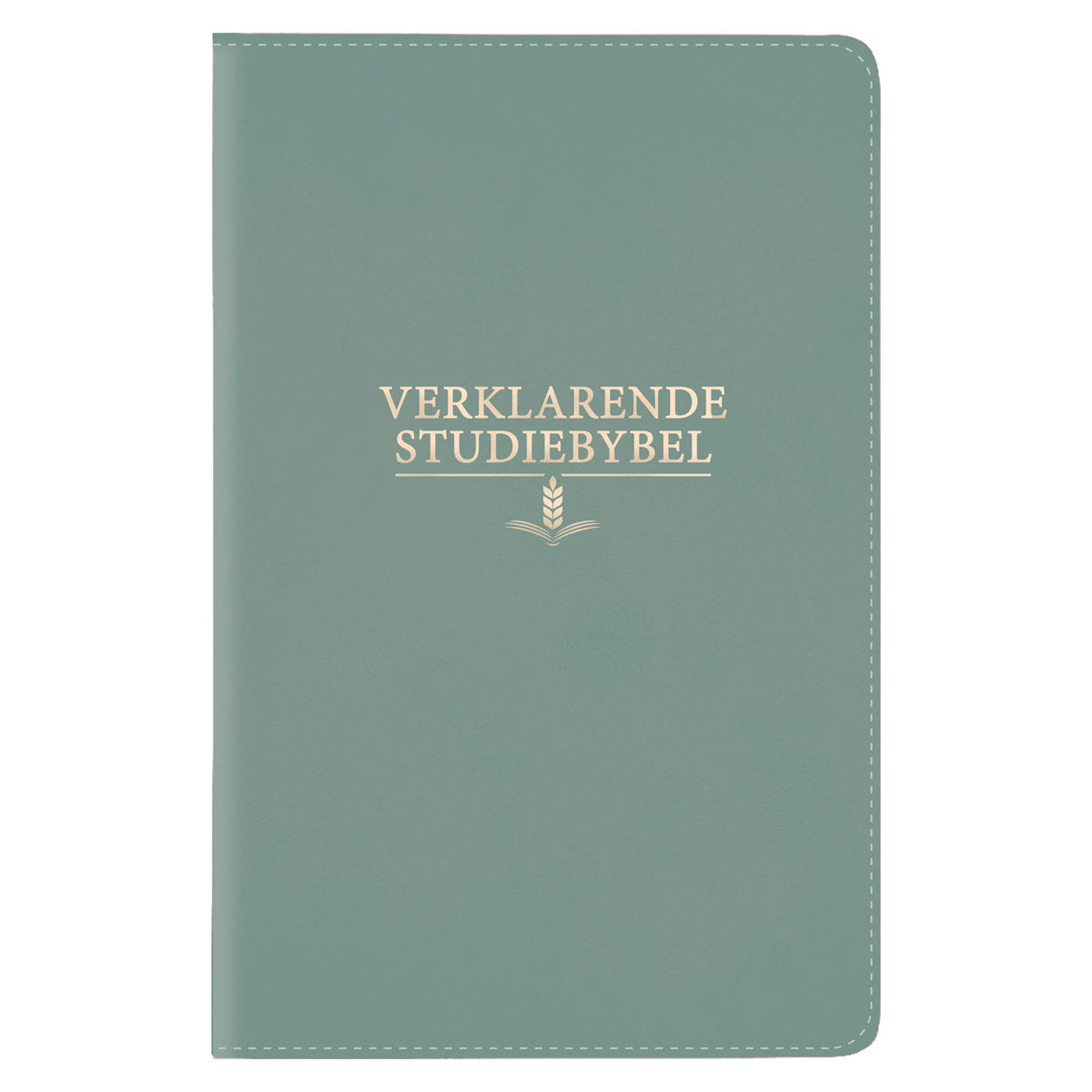 Afrikaans 1933/1953 Vertaling Blougroen Kunsleer Verklarende Studiebybel
