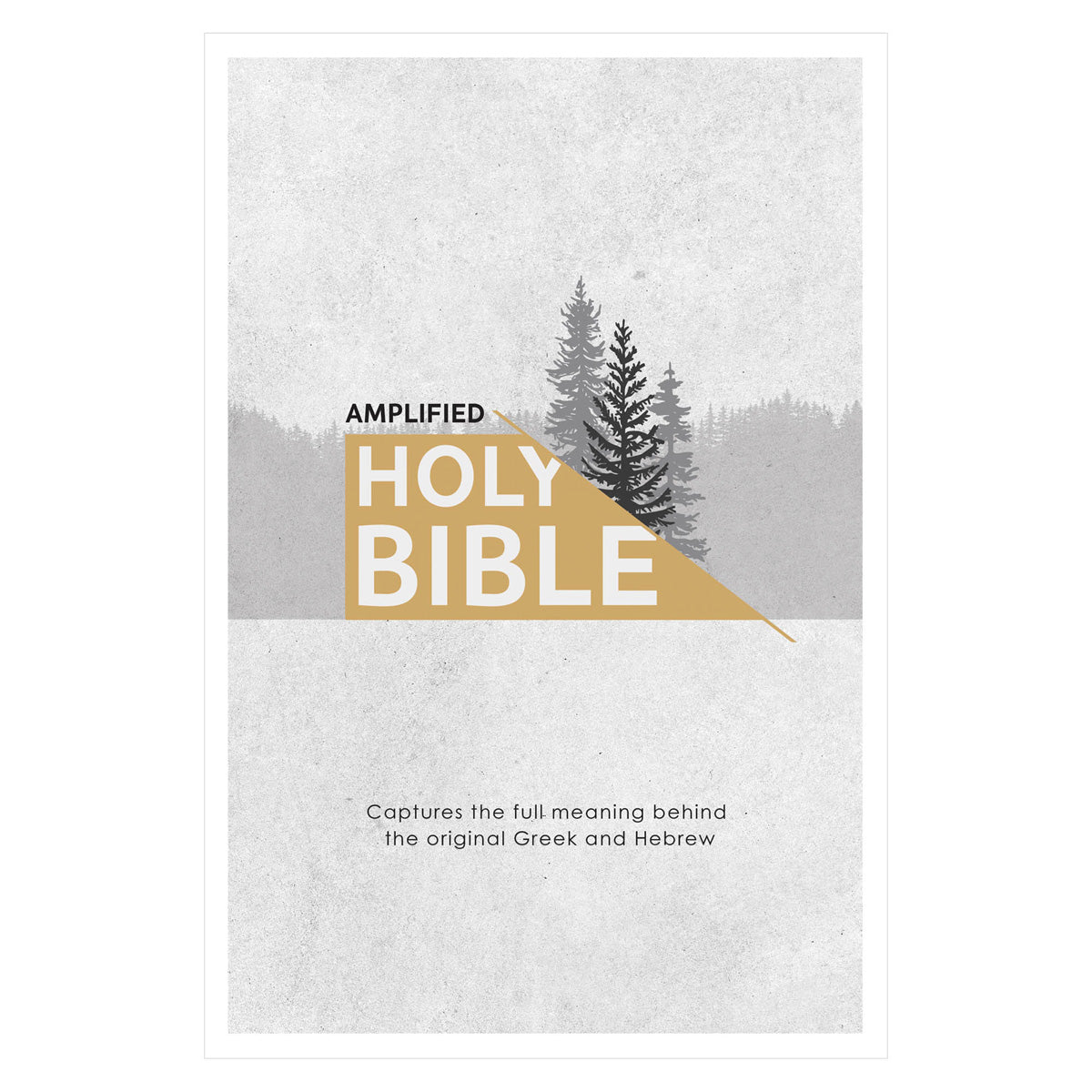 Amplified Grey Paperback Economy Edition Bible