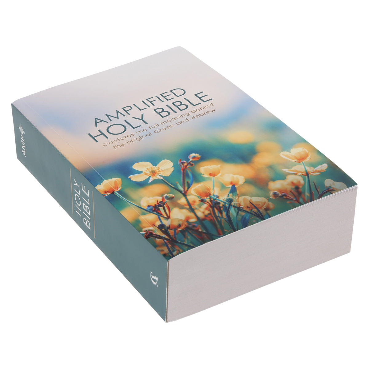 Amplified Wildflowers Paperback Economy Edition Bible