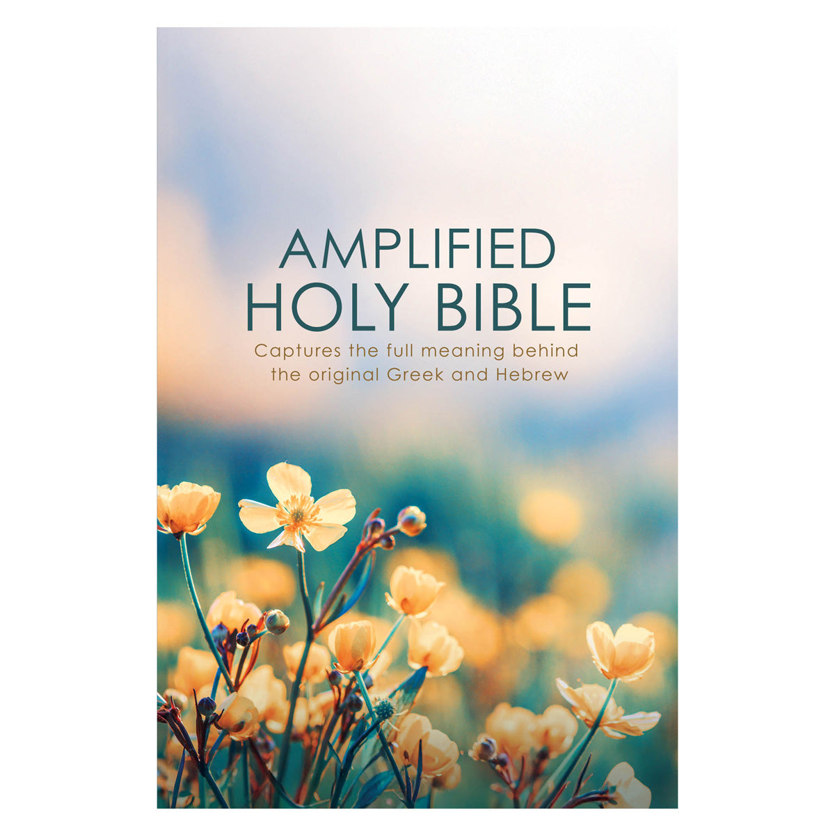 Amplified Wildflowers Paperback Economy Edition Bible