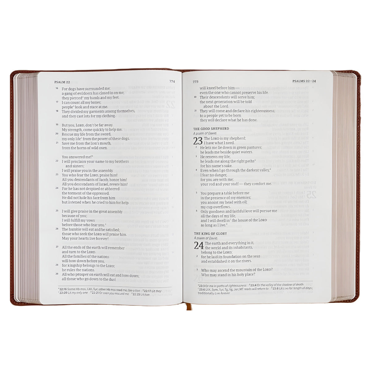 CSB Single-Column Bible, Giant Print, Imitation Leather, Burnt Sienna