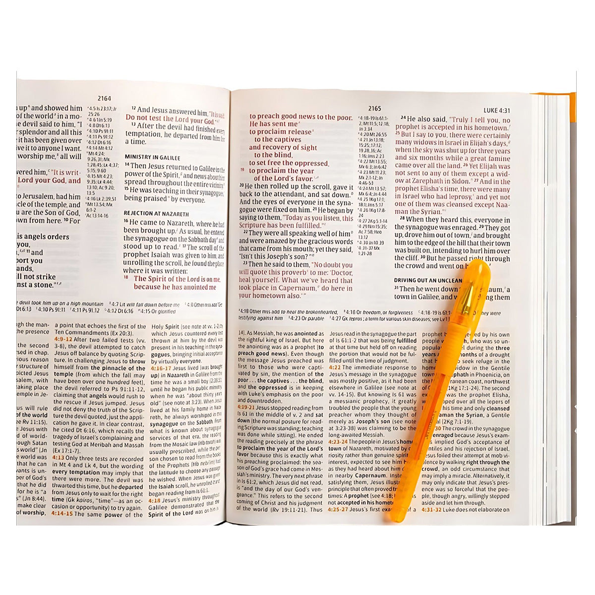 CSB Study Bible, Digital Study Edition, Large Print, Hardcover