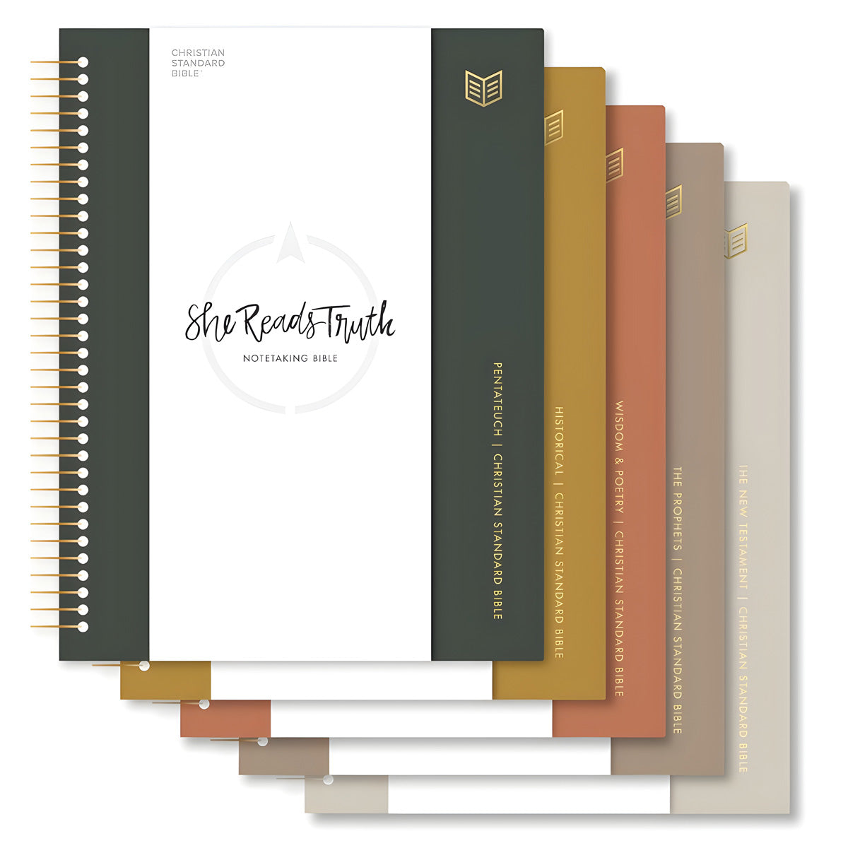 CSB Spiral-Bound Hardcover She Reads Truth Five-Volume Set Notetaking Bible