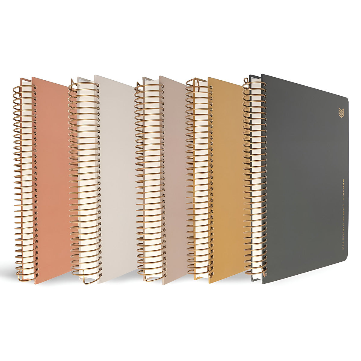 CSB Spiral-Bound Hardcover She Reads Truth Five-Volume Set Notetaking Bible