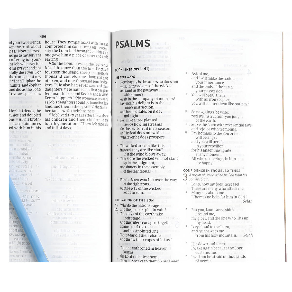 CSB Paperback Holy Bible for Kids Economy Edition Large Print