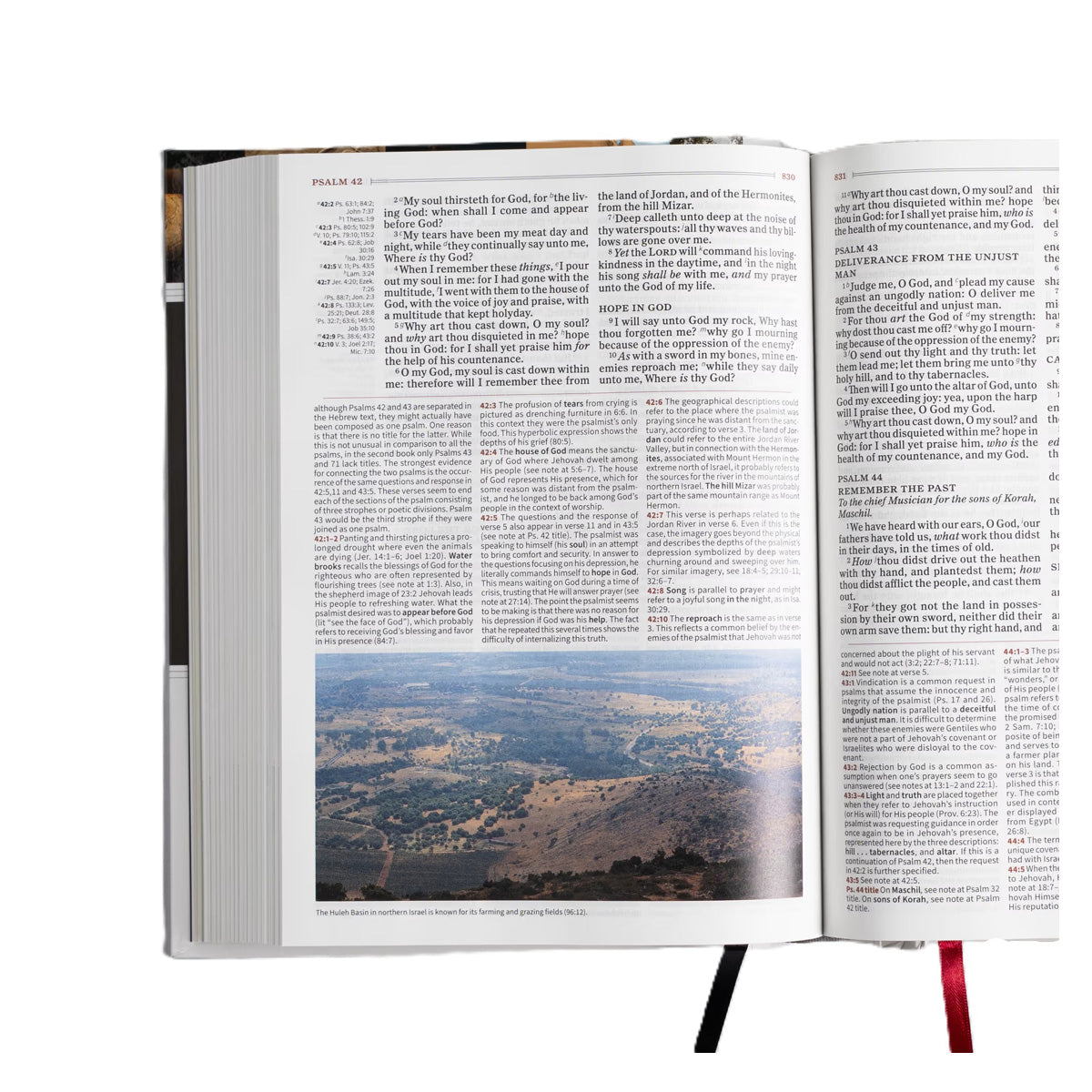 KJV Study Bible, Pure Cambridge Edition, Full-Color, Red Letter, Hardcover