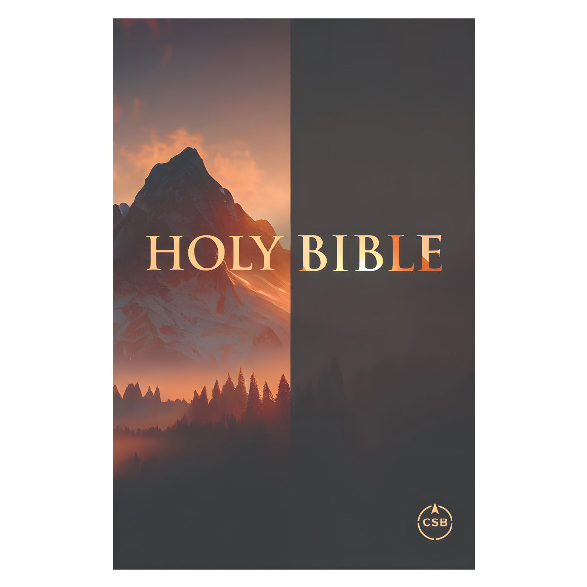 CSB Paperback Custom Christian Art Value Edition Compact Bible