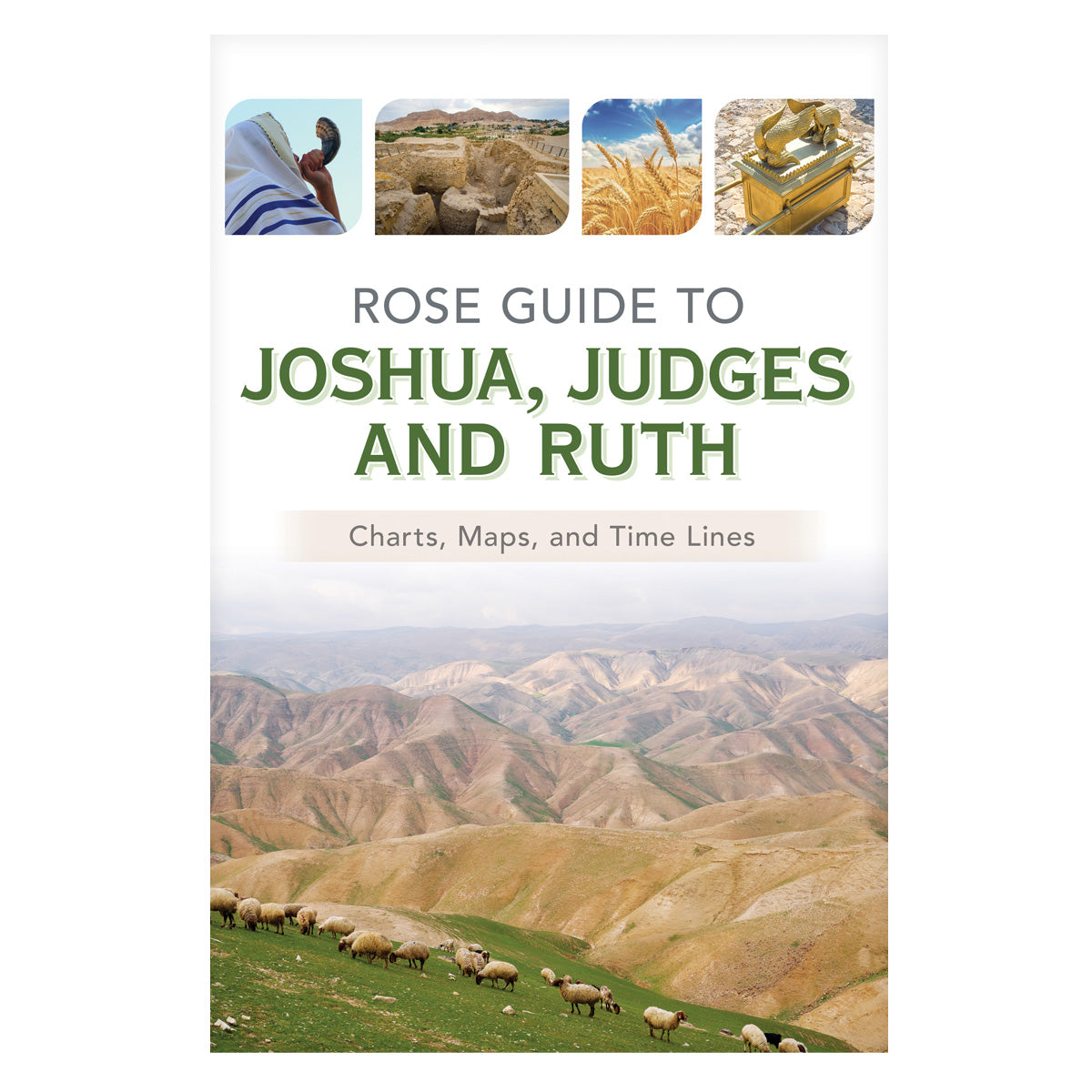 Rose Guide to Joshua, Judges and Ruth - Rose Guides Through the Bible (Paperback)