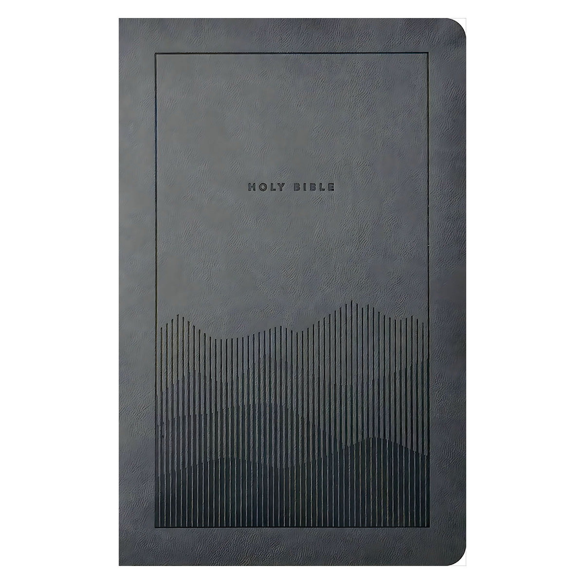 NLT Filament Premium Value Thinline Bible, Imitation Leather, Elevation Gray