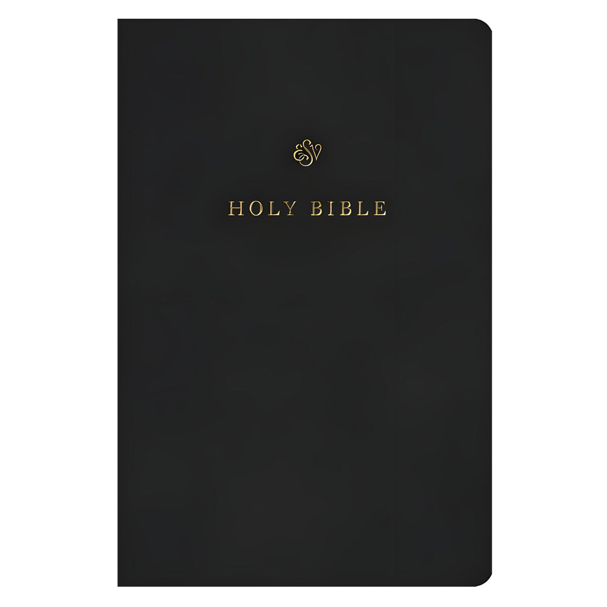 ESV Black Imitation Leather Gift & Award Bible