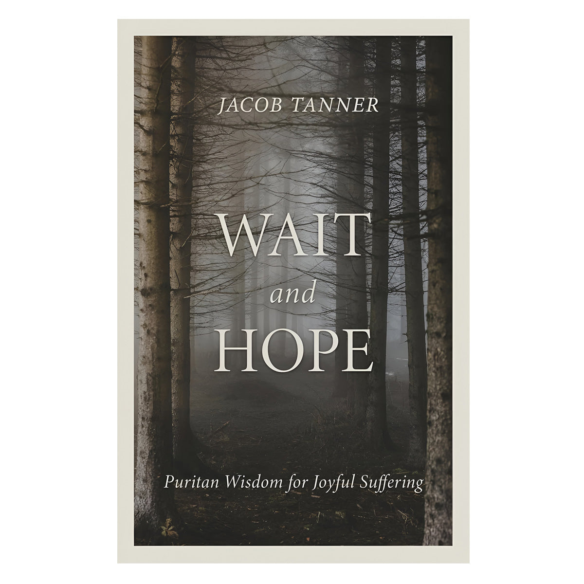 Wait and Hope: Puritan Wisdom for Joyful Suffering (Paperback)