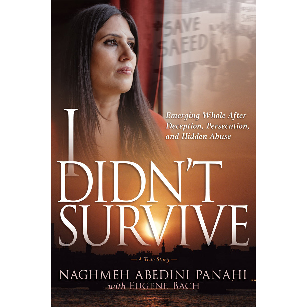 I Didn't Survive: Emerging Whole After Deception Persecution And Hidden Abuse (Paperback)