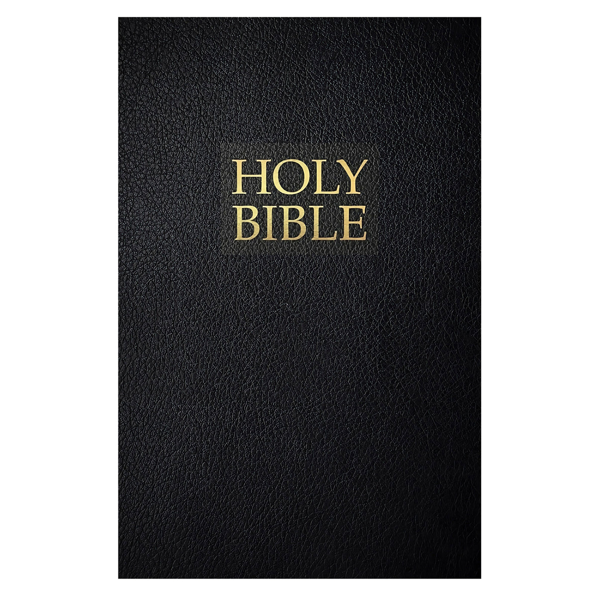 KJVER Black Imitation Leather Gift & Award Holy Bible