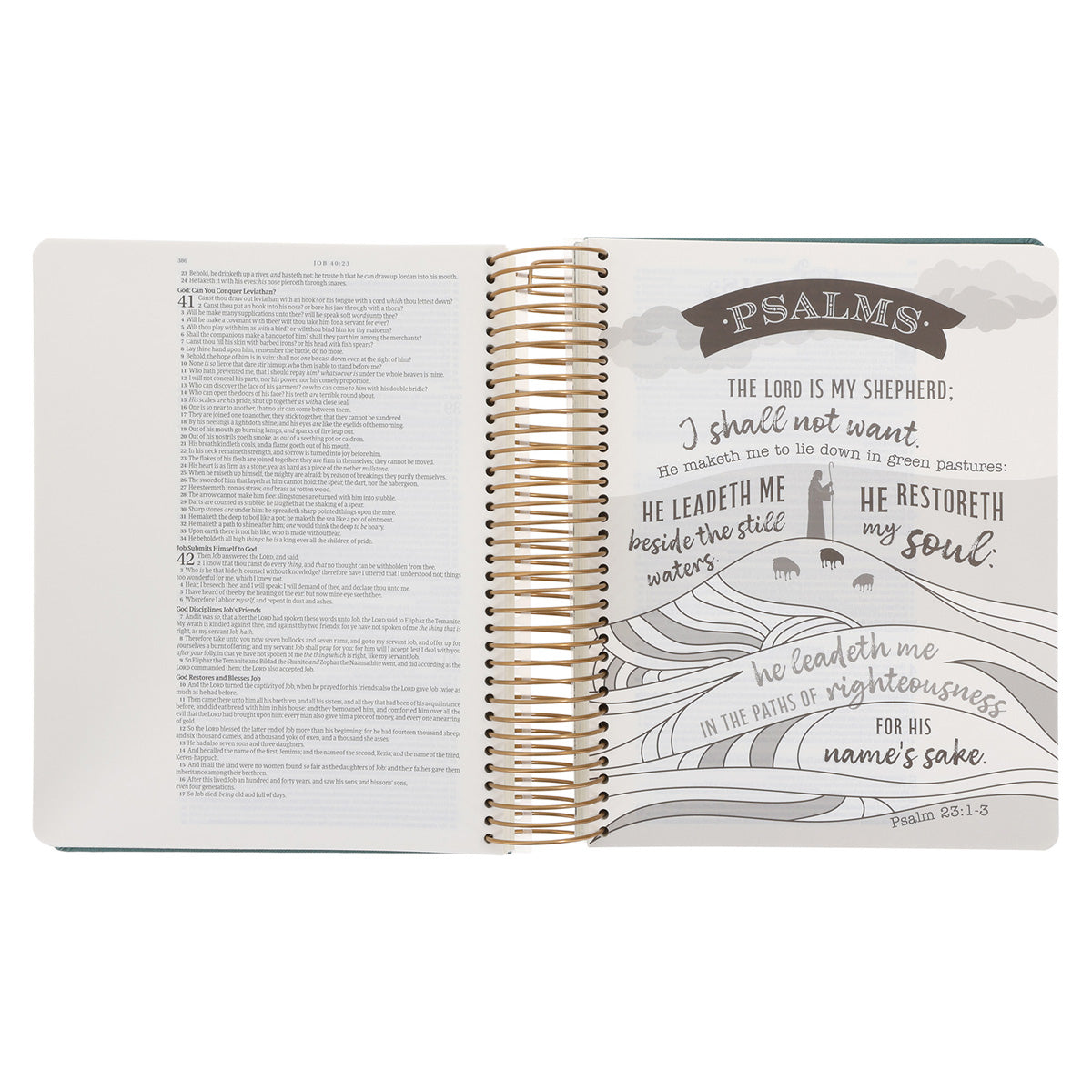 KJV Teal Spiral-Bound Hardcover Linen Cloth My Creative Bible Illustrators Edition