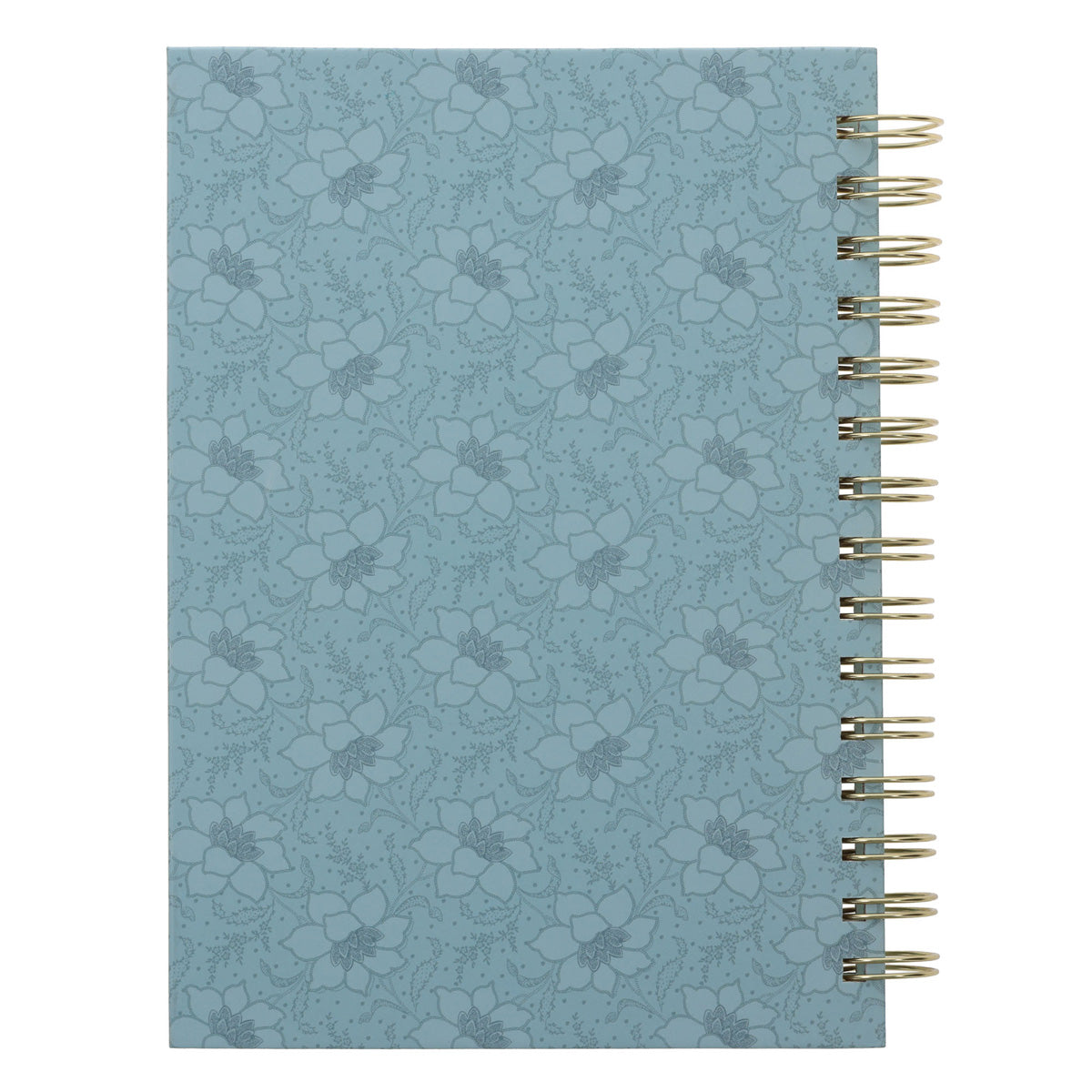 Strength and Dignity Teal Hardcover Wirebound Journal