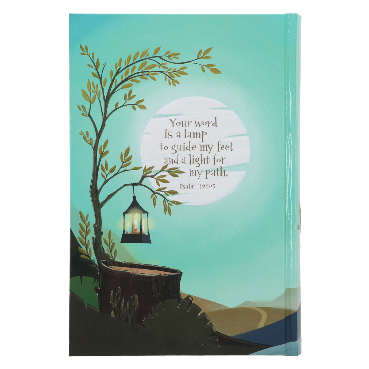 NLT Teal Hardcover The Discovery Bible
