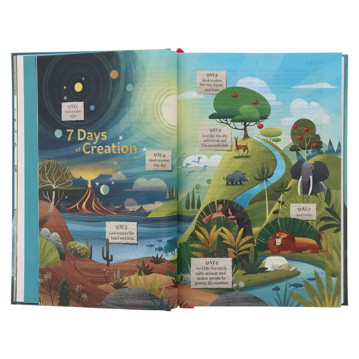 NLT Teal Hardcover The Discovery Bible