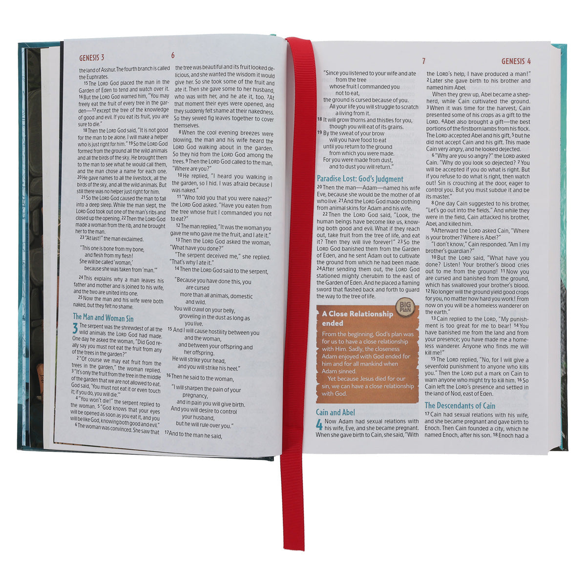 NLT Teal Hardcover The Discovery Bible