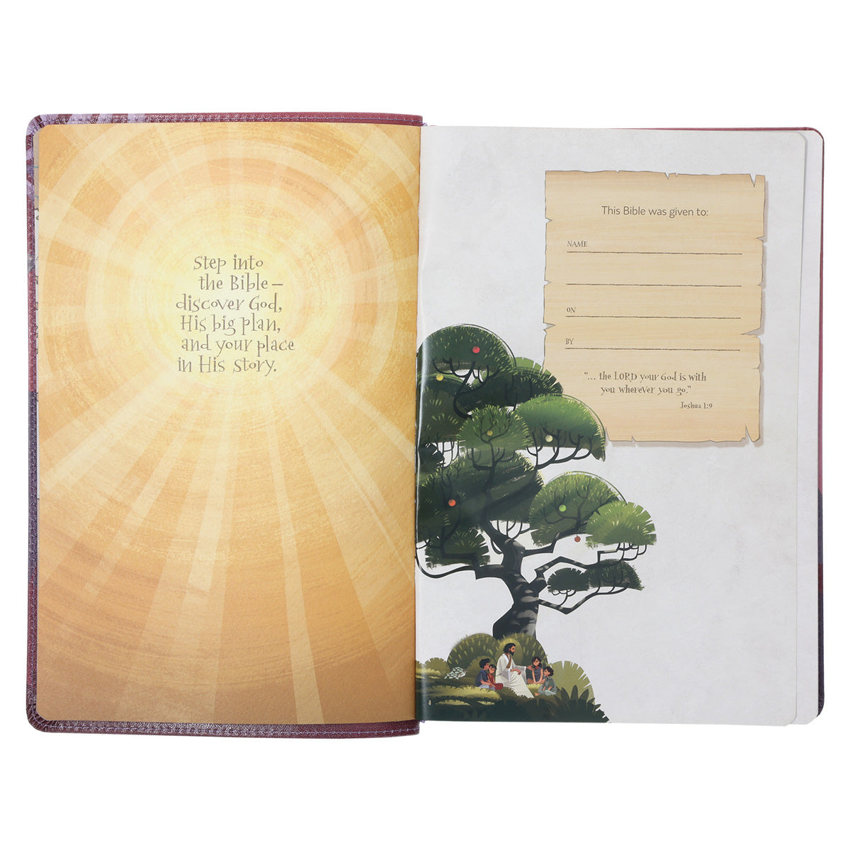 NLT Pink Faux Leather The Discovery Bible with Indexing Tabs
